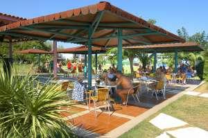 CLUB TURTLE`S MARCO POLO