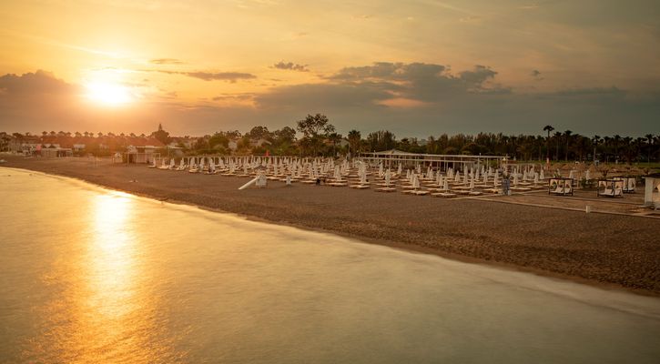 Lara Barut Collection