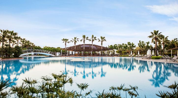 Lara Barut Collection