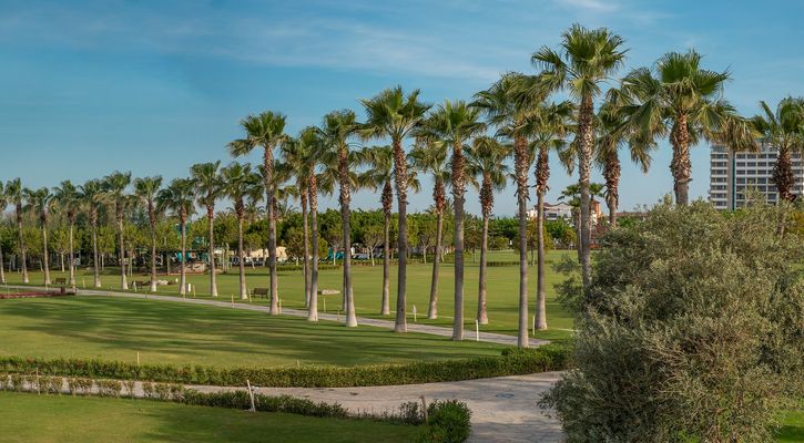 Lara Barut Collection