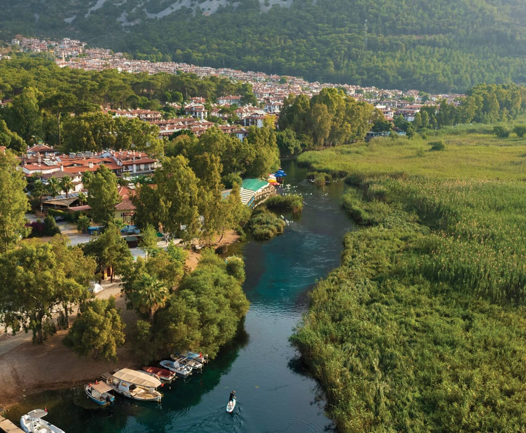 DATÇA  BADEM ÇİÇEĞİ FESTİVALİ