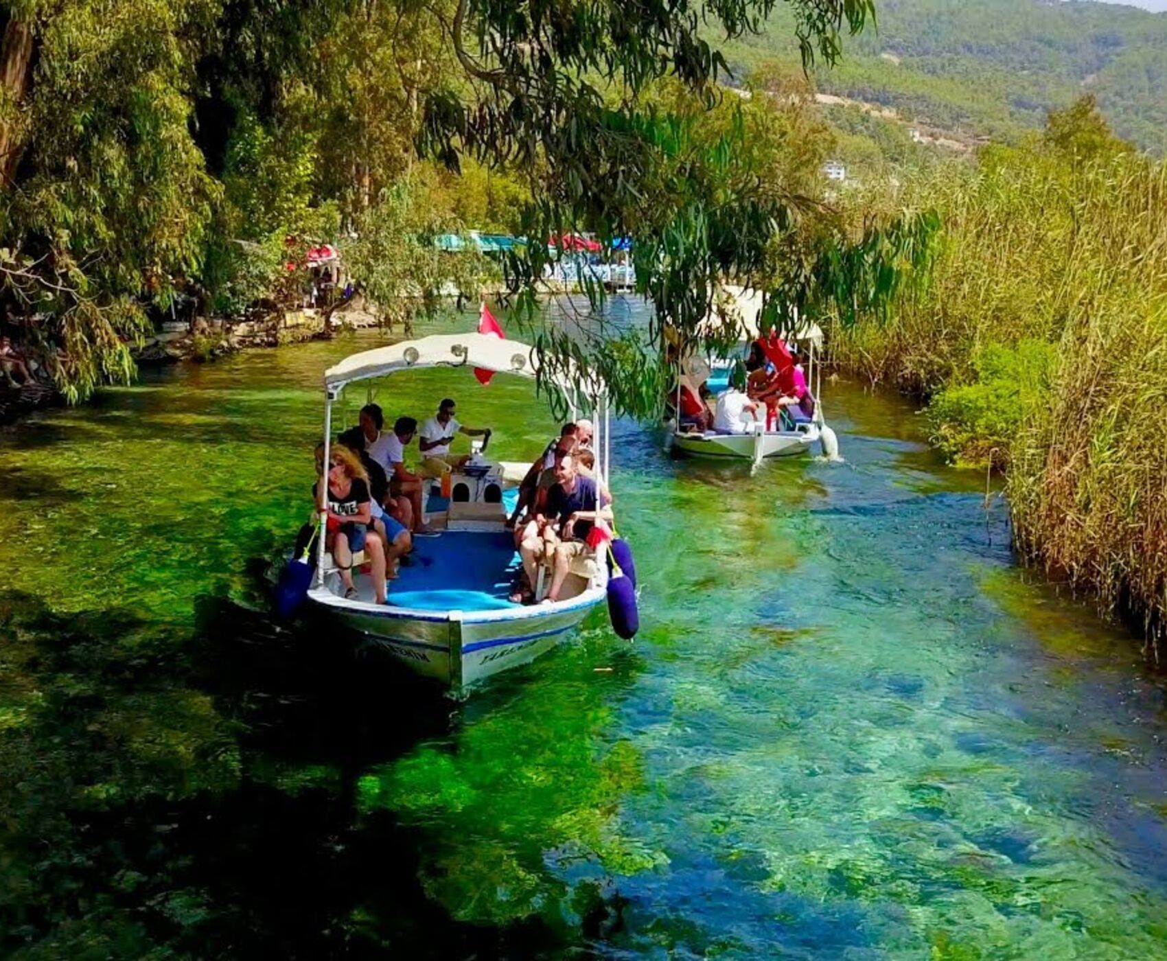 DATÇA  BADEM ÇİÇEĞİ FESTİVALİ