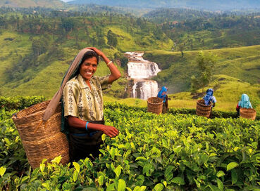 Smart Sri Lanka Turu