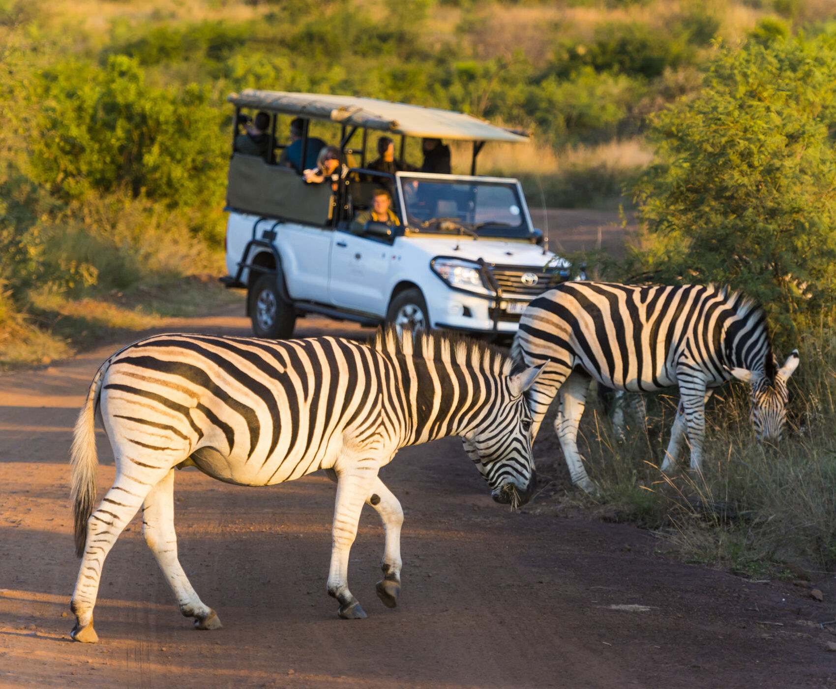 SOUTH AFRICA (VICTORIA WATERFALLS - ZAMBIA) TOUR BY FLIGHT