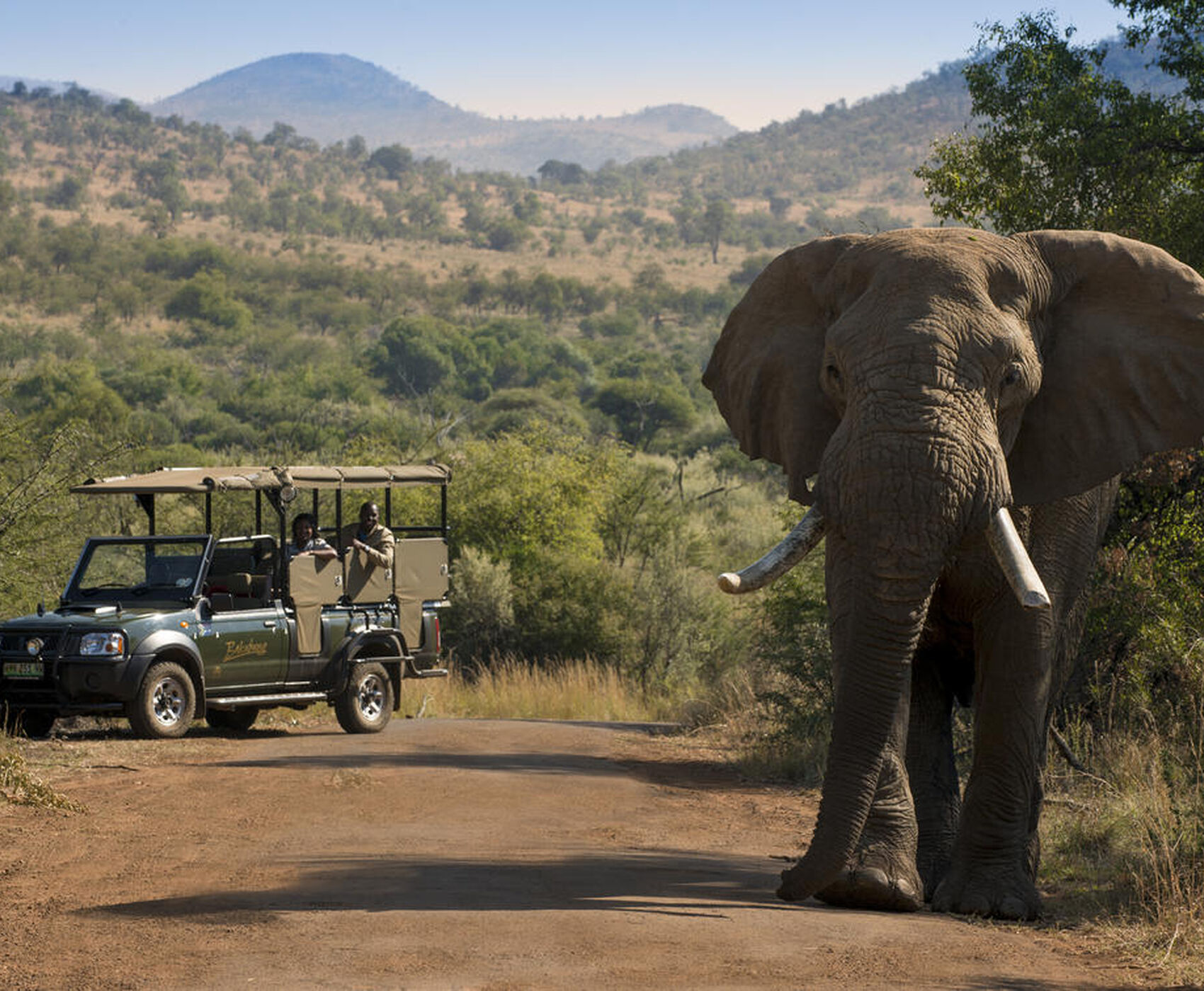 SOUTH AFRICA (VICTORIA WATERFALLS - ZAMBIA) TOUR BY FLIGHT