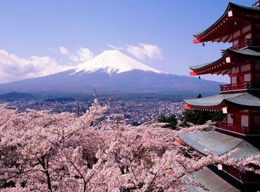 Sakura Dönemi Japonya & Kore Turu Mistik Rotalar (Tokyo Başlangıçlı)