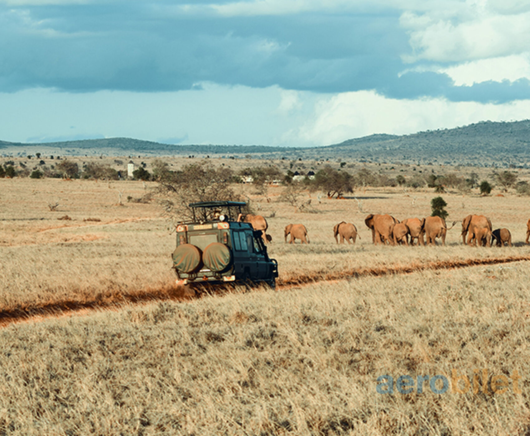 BÜYÜK AFRİKA TURU - GÜNEY AFRİKA ZAMBİYA ZİMBABWE BOTSWANA