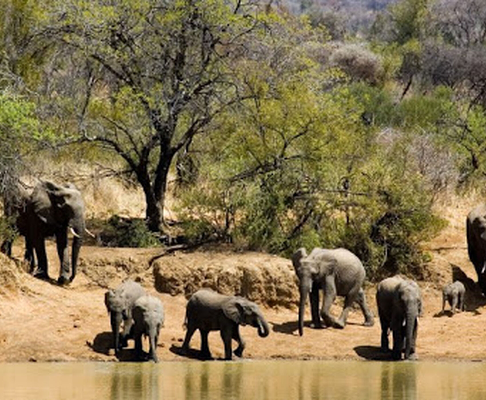 BÜYÜK AFRİKA TURU - GÜNEY AFRİKA ZAMBİYA ZİMBABWE BOTSWANA