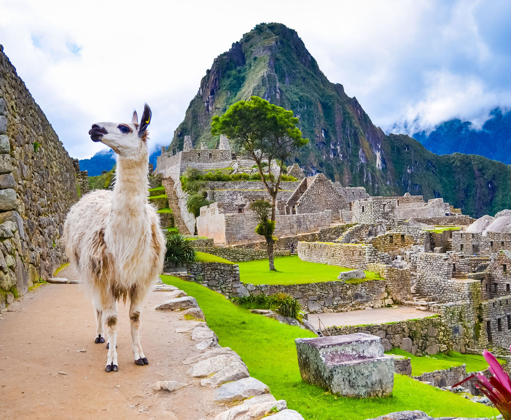 PERU & BOLİVYA & ŞİLİ & MACHU PİCCHU