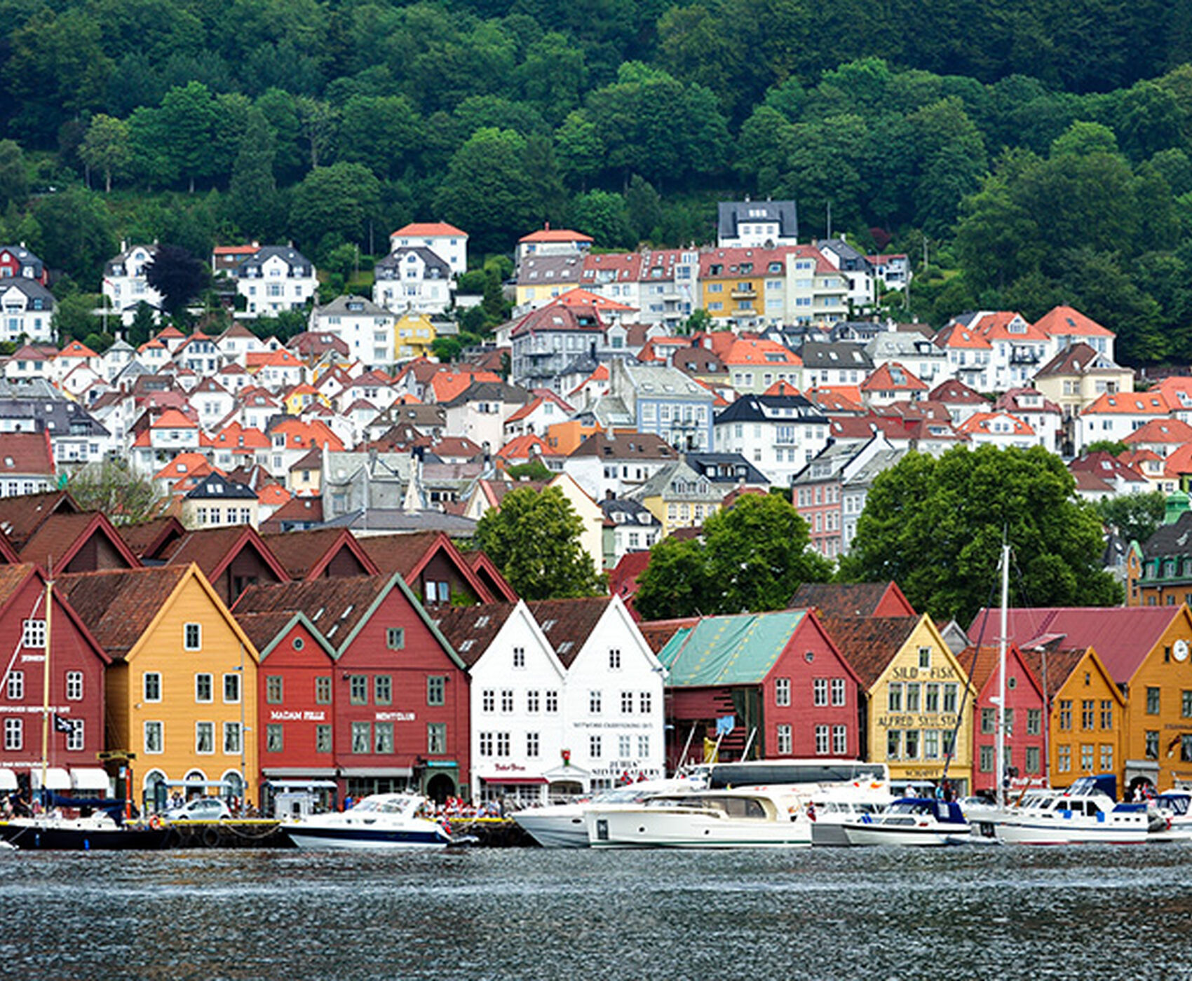 İZLANDA -NORVEÇ TURU