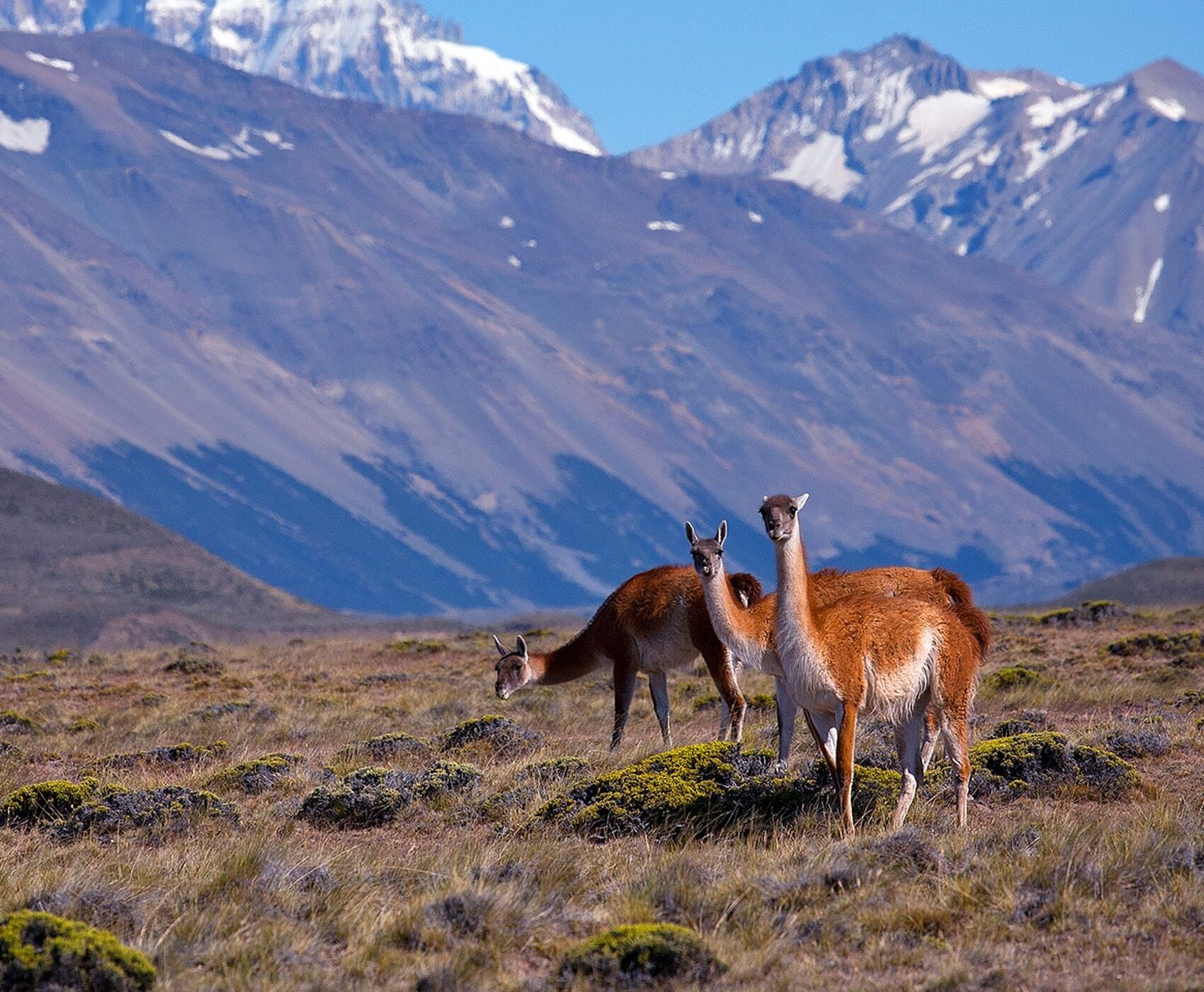 GRAND PATAGONYA PASKALYA ADASI TURLARI