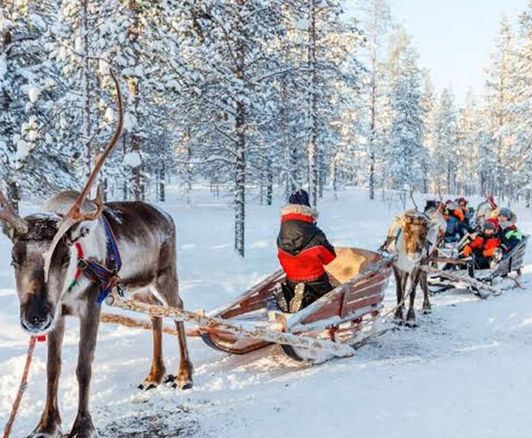 Kuzey Işıkları-Rusya Lapland-Arktik Express