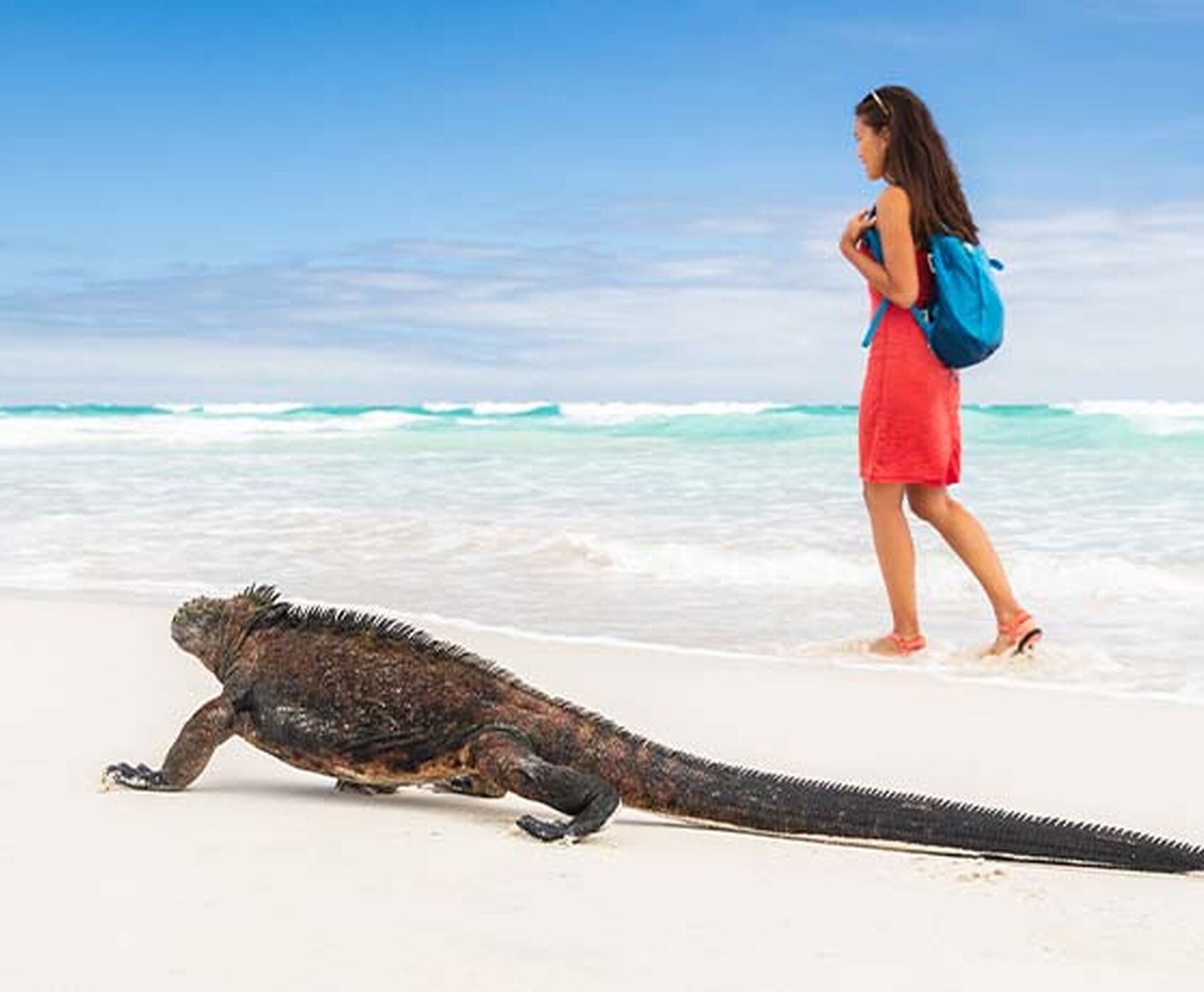 GALAPAGOS EKVADOR KOLOMBIYA