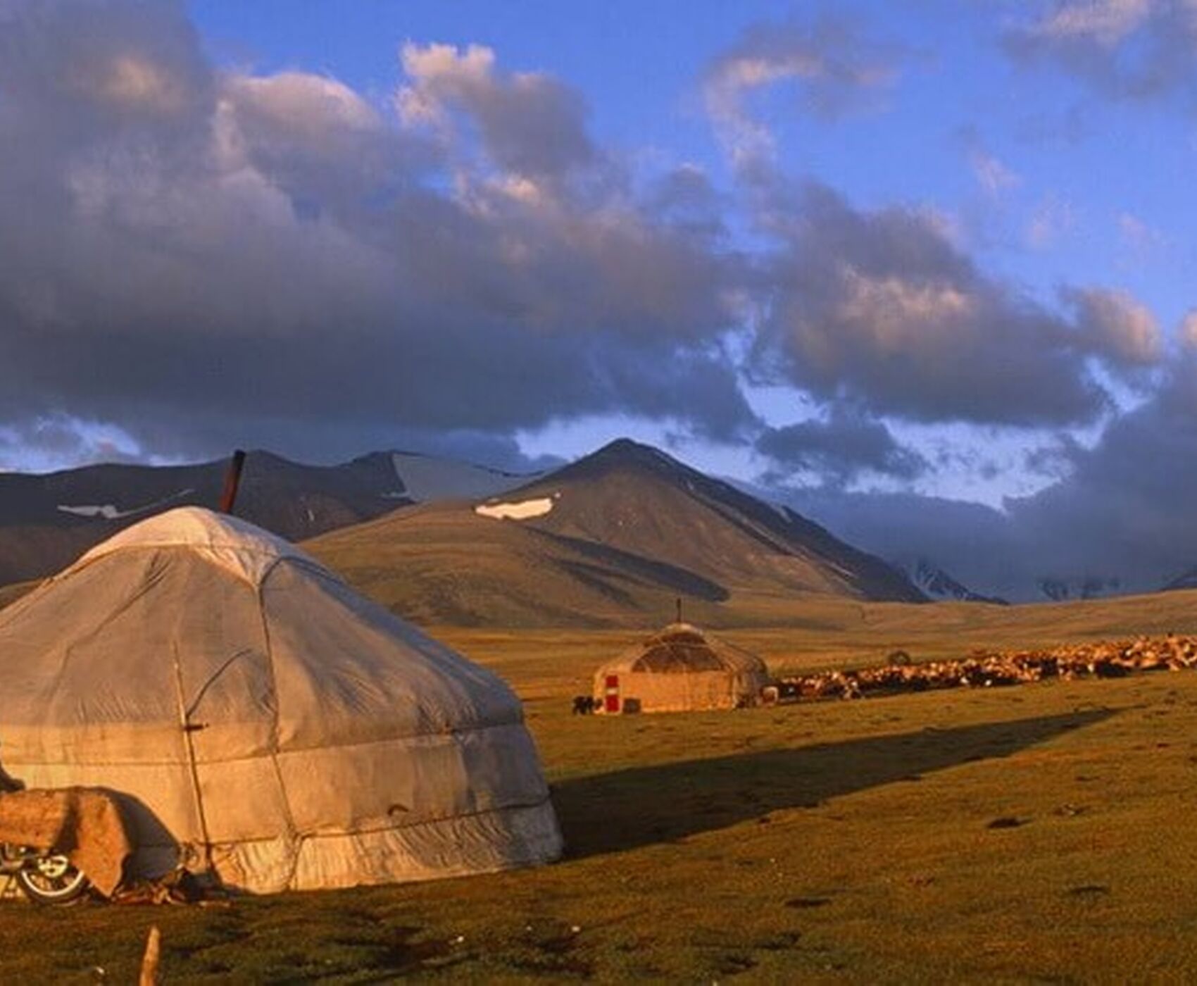 MOĞOLİSTAN TURU