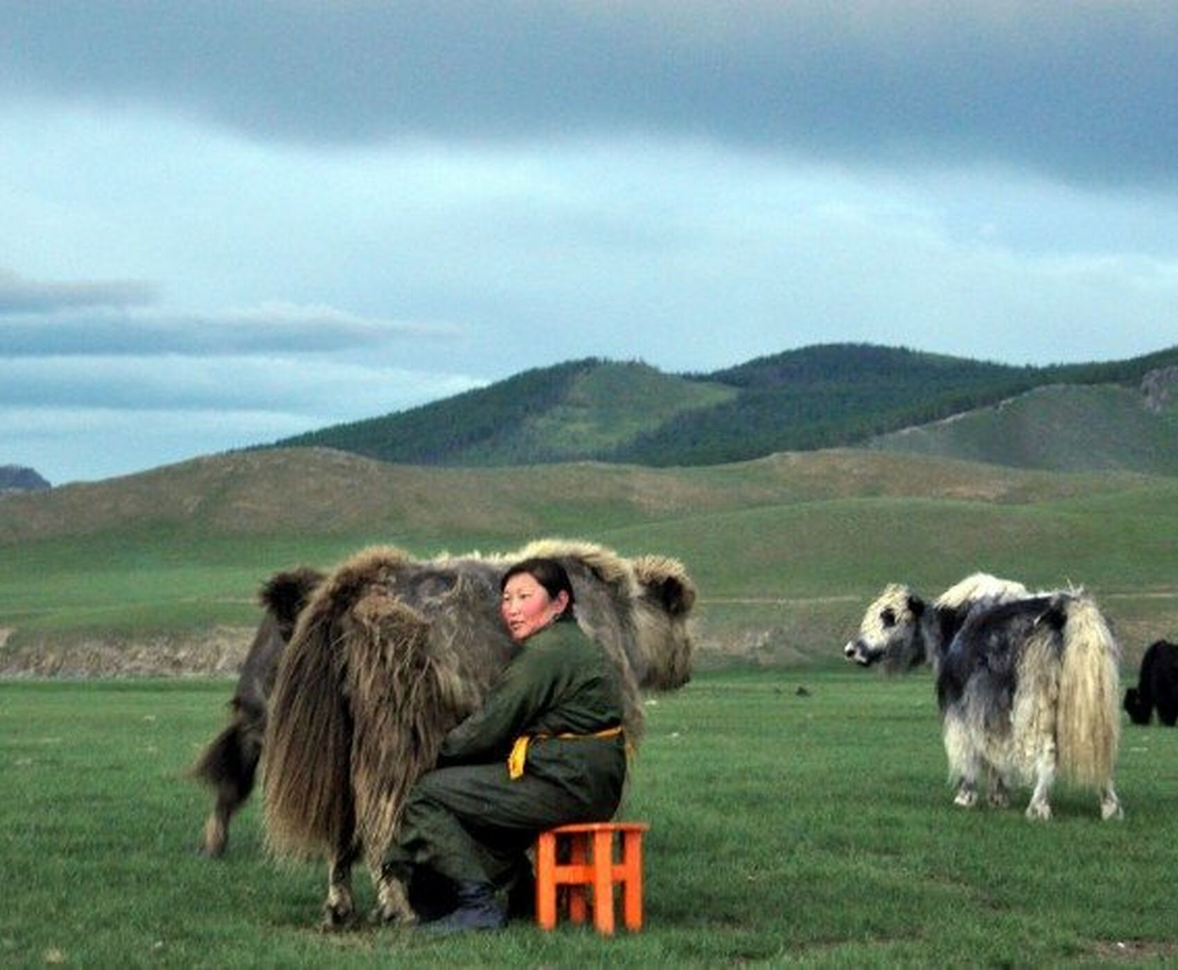 MOĞOLİSTAN TURU