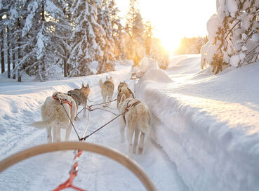 İzmir Çıkışlı Sömestre Özel Lapland Kuzey Işıkları (Tüm Turlar Dahil- 4 Gece Park Otel)