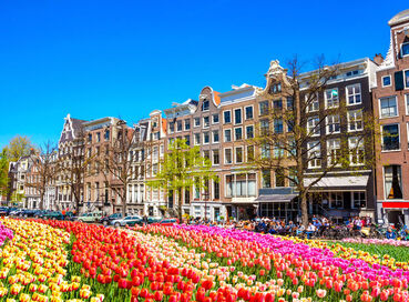 Görkemli Amsterdam - Renklerin Şehri 3 Gece - THY ile 22 Ocak (Sömestr Özel) AT067