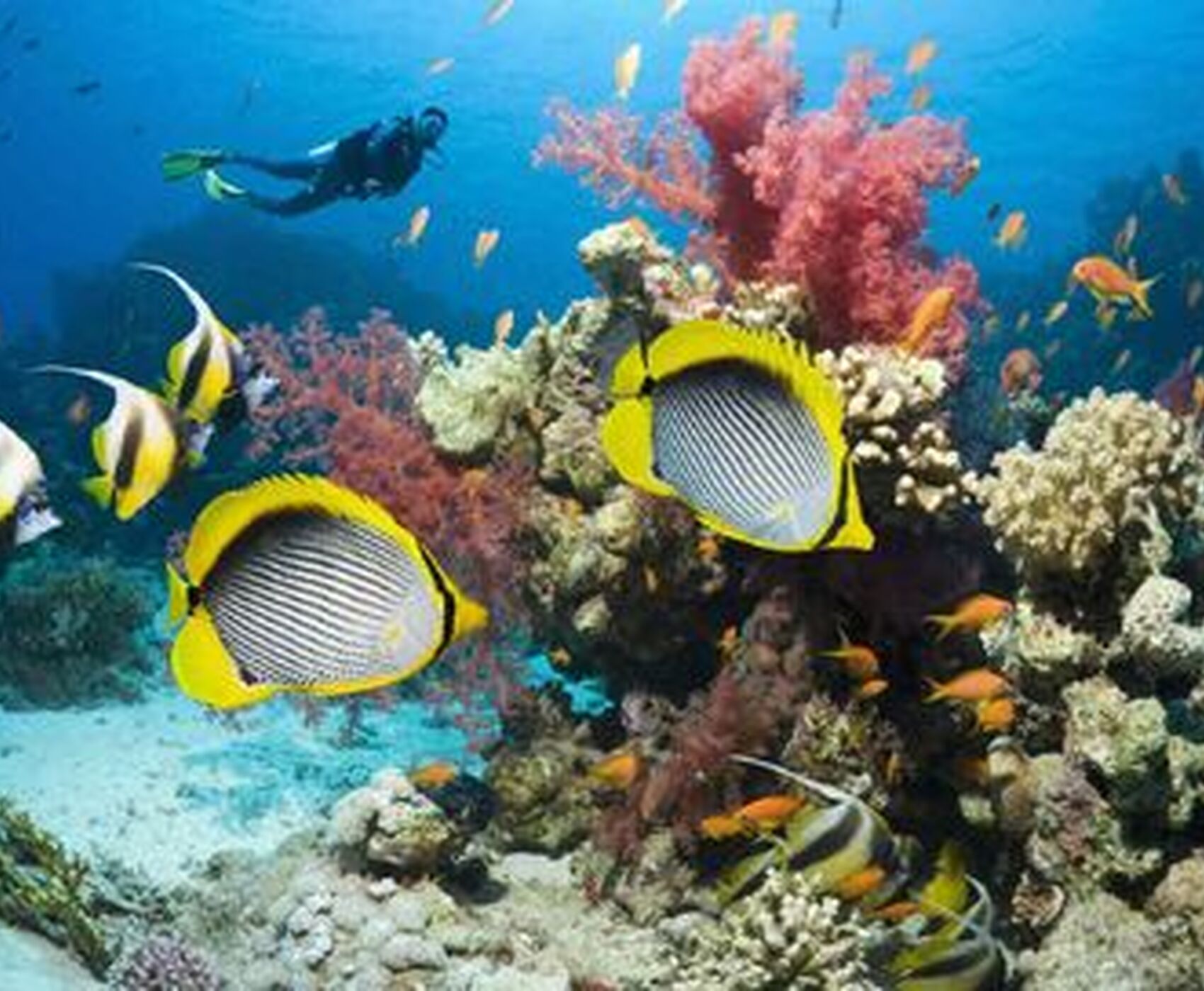 KAHİRE'DEN SHARM'A ANTİK MASAL