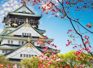 Antalya Çıkışlı Sömestr Özel Japonya & Kore Turu Tüm Turlar Dahil