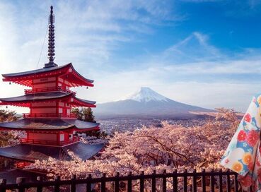 Elit Japonya Kore Turu THY ile 7 Gece Ekstra Turlar Dahil ( ICN - HND ) 31 Temmuz Çıkışlı