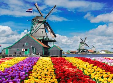 Elit Benelux Paris Alsace İsviçre Almanya Turu THY ile 7 Gece Ekstra Turlar Dahil ( BSL-DUS )