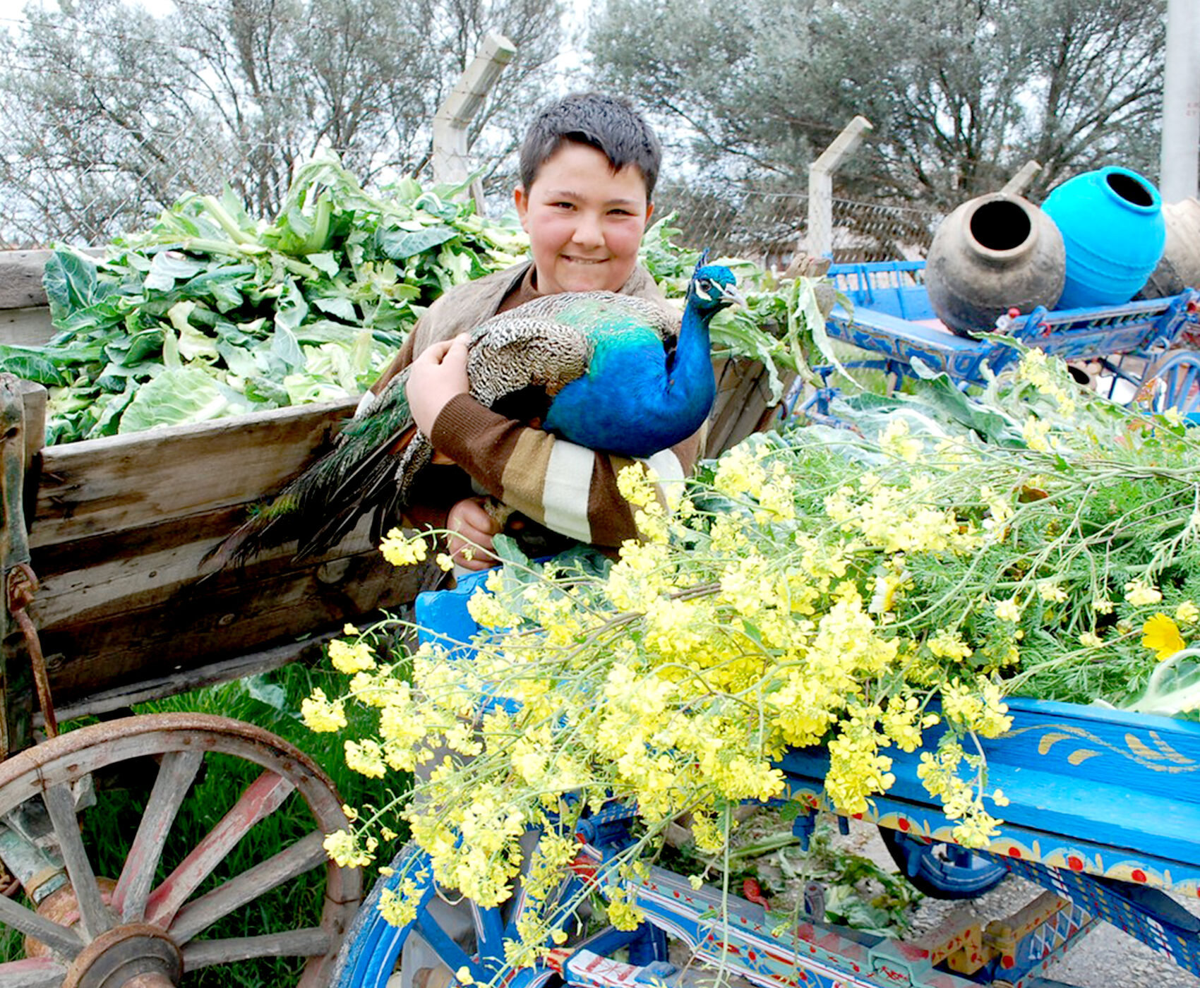 ALAÇATI OT FESTİVALİ