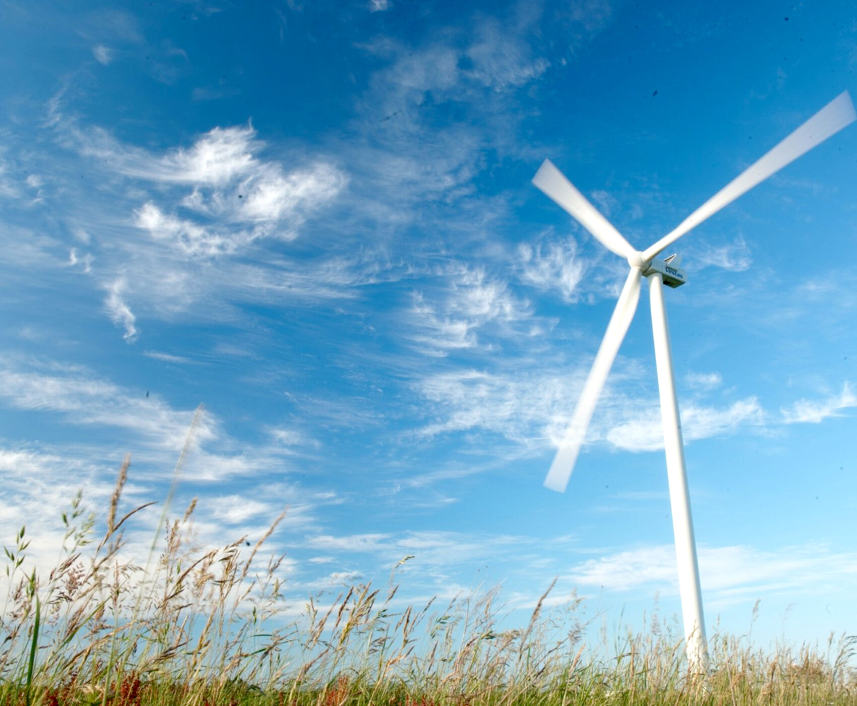 ALAÇATI OT FESTİVALİ